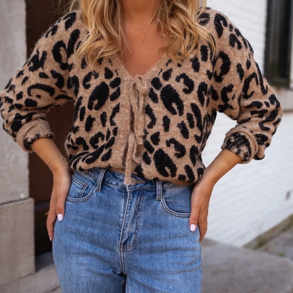 Leopard Print Tie Front Sweater